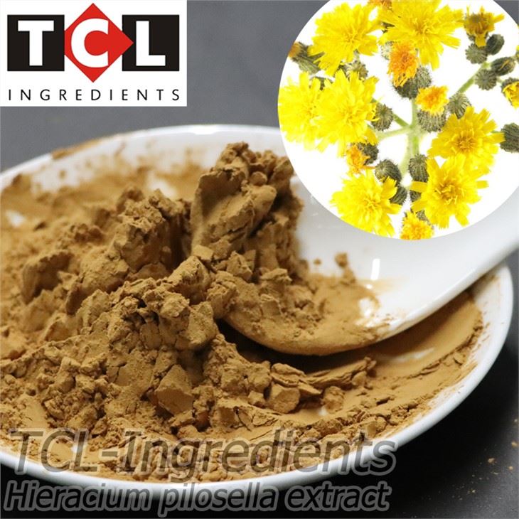 Εκχύλισμα Hieracium Pilosella